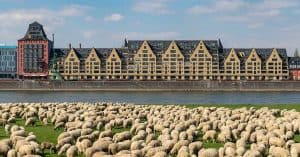 day trips at cologne